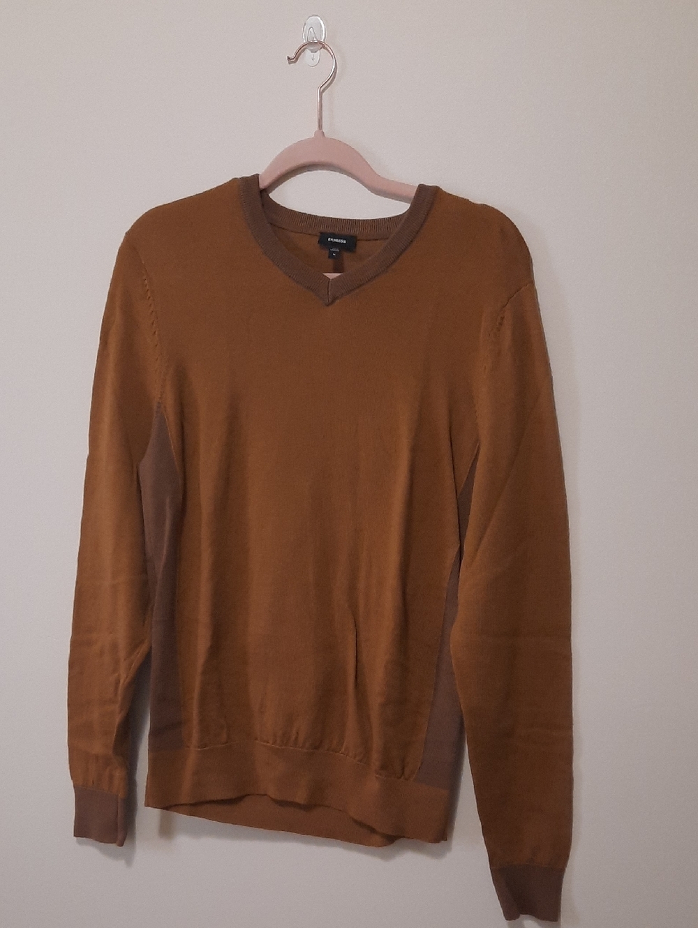 Express Men's V-Neck Sweater in Mustard with Brown Trim